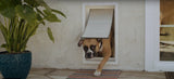 Armor Flex Doggie and Kitty Pet Door for Walls or Doors